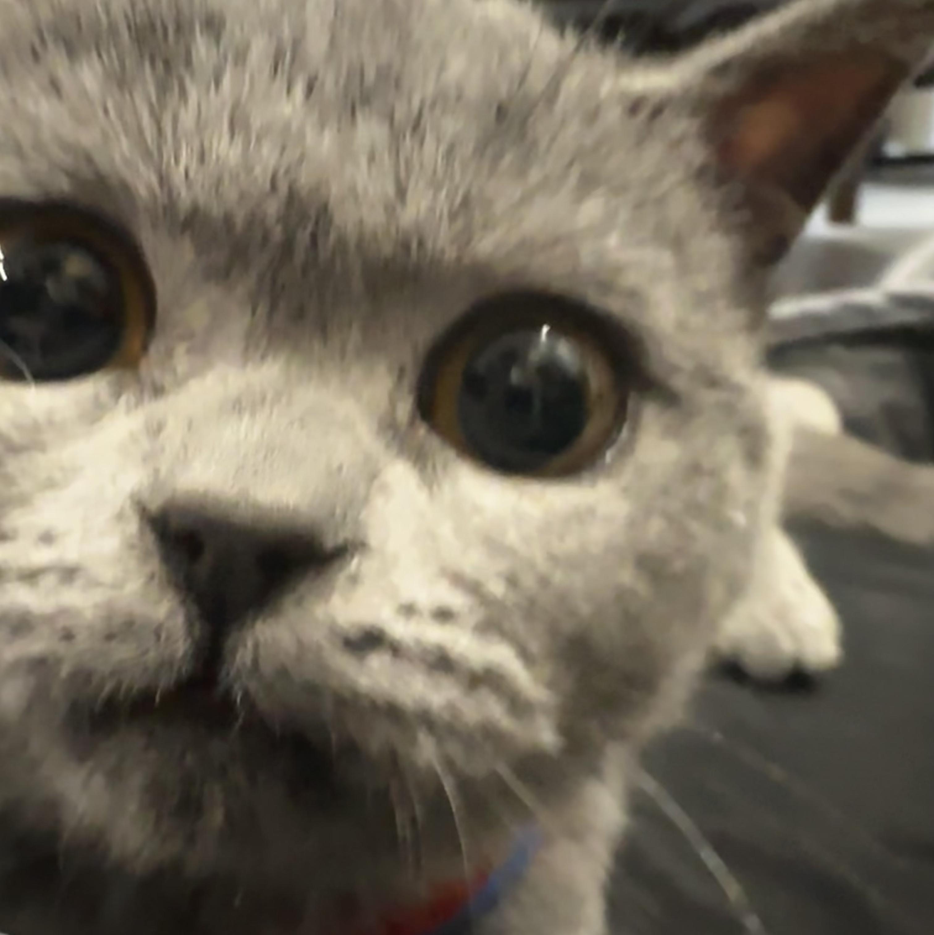 乐柠组合-我们 （DJ奉少Remix）（DJ'Fs remix）