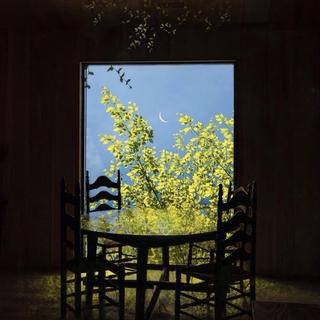 英文｜直到我们逃离凡尘 化为白骨