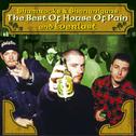 The Best Of House Of Pain & Everlast: Shamrocks & Shenanigans (LP Version)