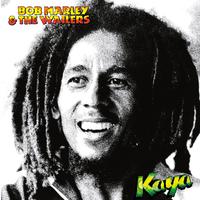 Bob Marley - Rat Race (Karaoke Version) 带和声伴奏