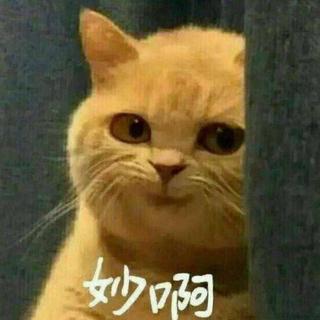 贼几把好听的『林宥嘉&五月天原唱』