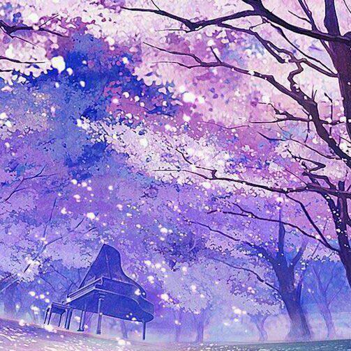 [纯音乐]钢琴曲秘密花园