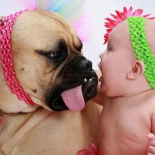 快乐｜点击播放，看谁笑场。