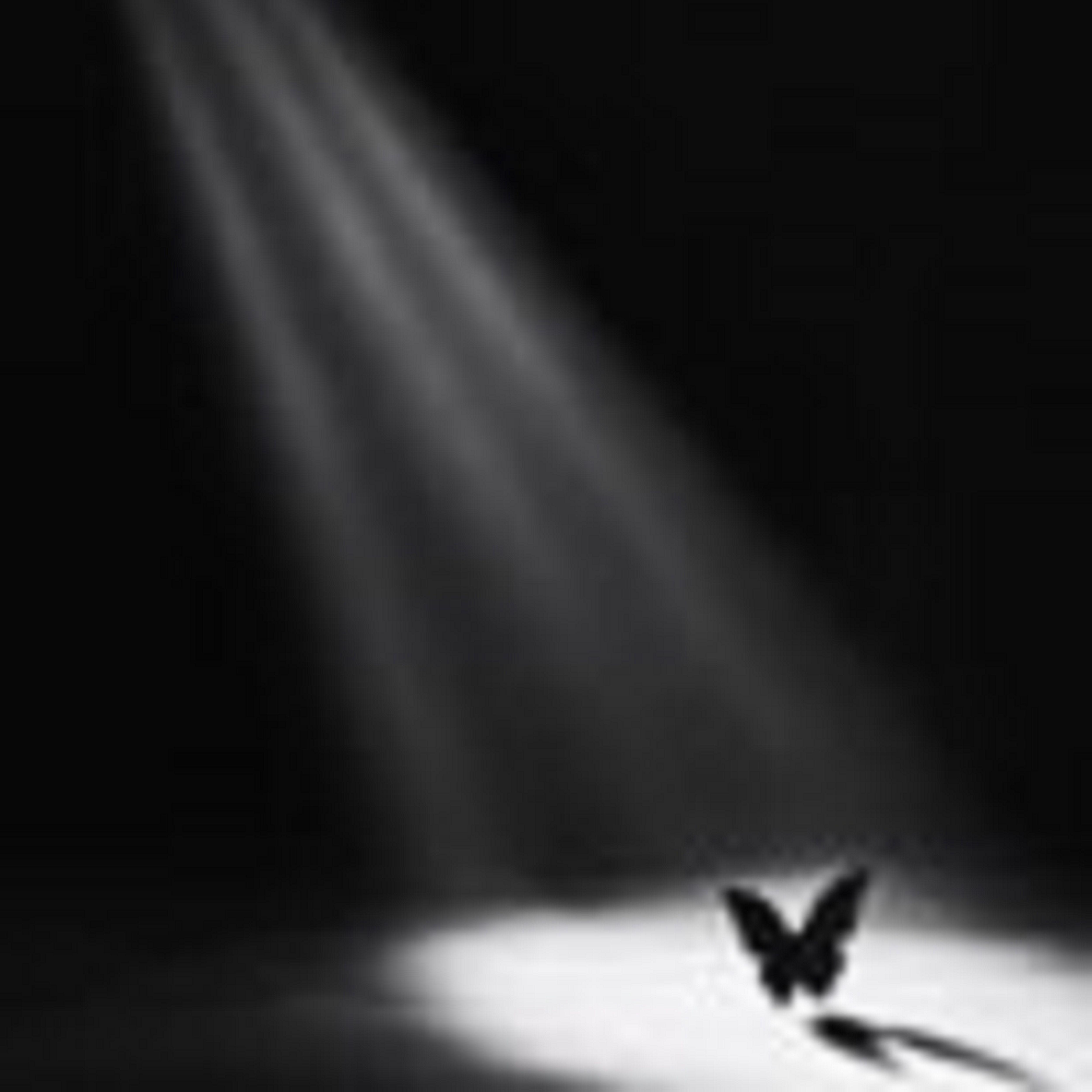 spotlight