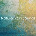 16 Soothing and Peaceful Rain and Nature Sounds