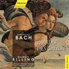 Helmuth Rilling - Amadis de Gaule, W. G39:t III Scene VII: Dir sei Heil! Amadis, Heil! (Chorus) - Pantomime - Ordeal by Fire (Flute solo) - Chorus - Ballet