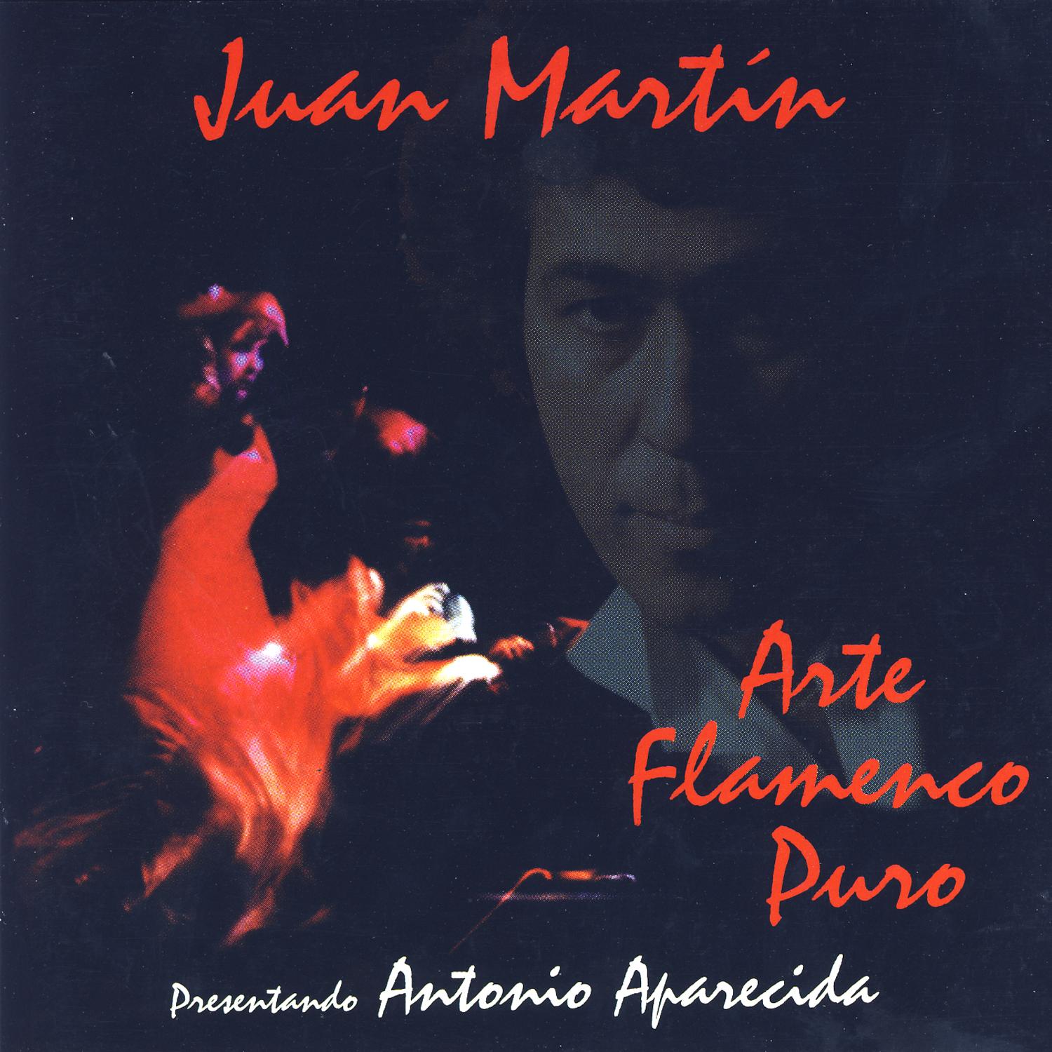 Arte Flamenco Puro