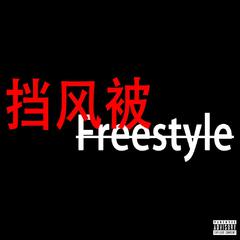 挡风被freestyle