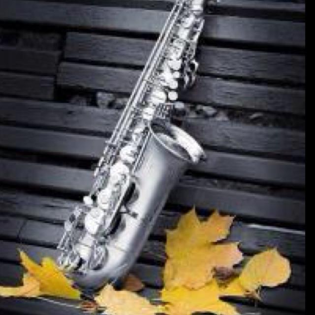 Jasmine FlowerKenny G_无损flac下载_mp3下载_歌曲下载