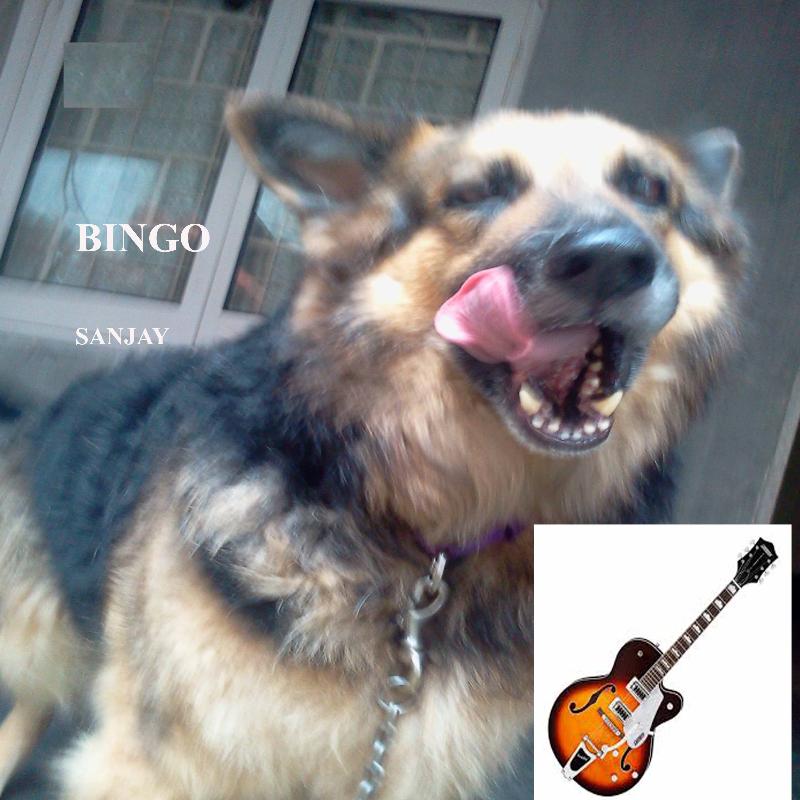 Bingo
