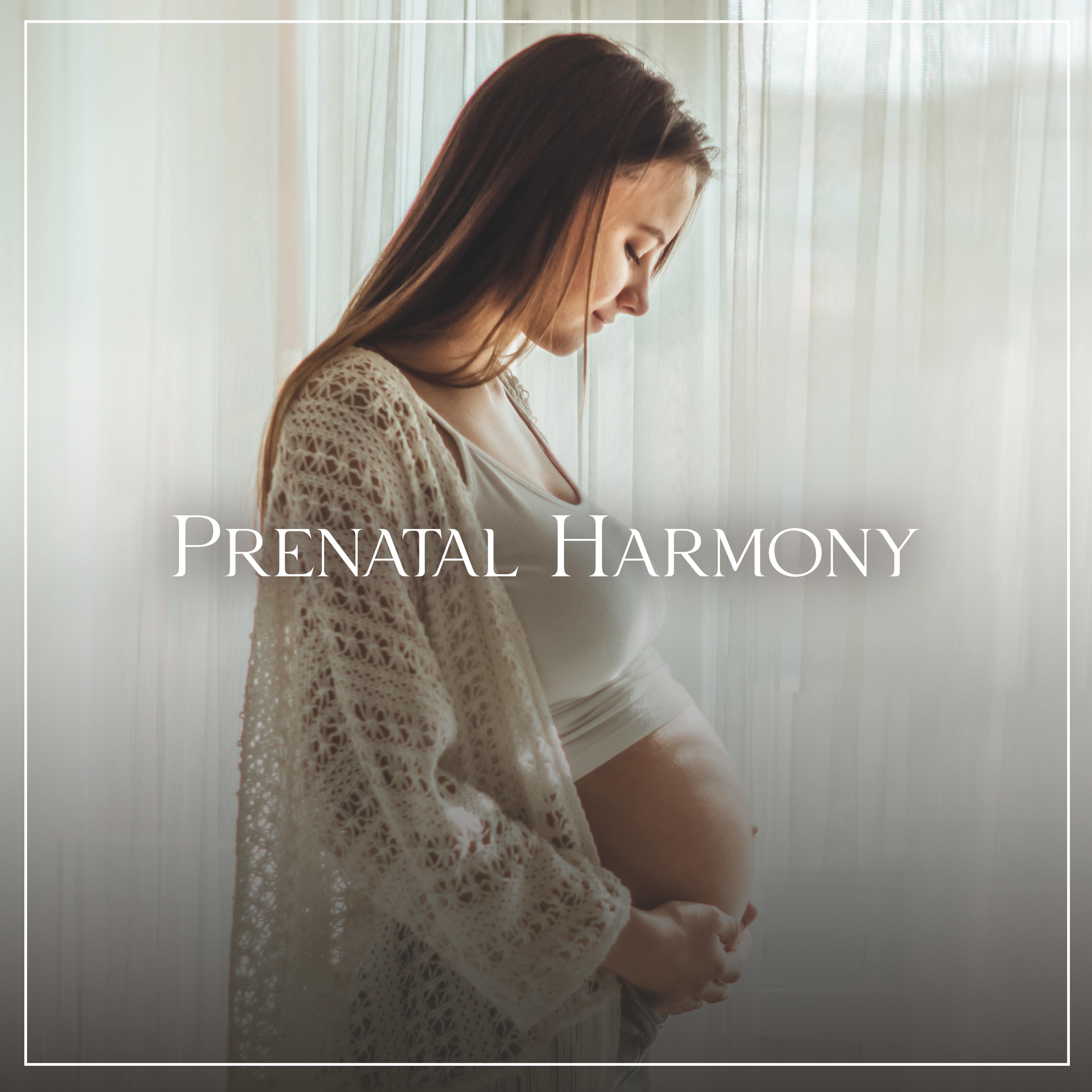 Nature Music Pregnancy Academy - Heavy Downpour