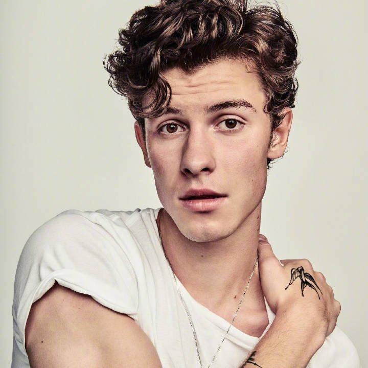 【Shawn Mendes】萌德世巡经典曲目