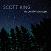 Scott King - Driving Your Car