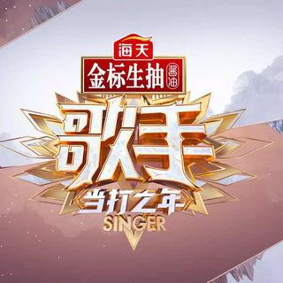 歌手·当打之年曲目全收录