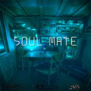 soul mate (灵 魂 伴 侣）