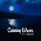 Calming Waves to Dream – Easy Listening New Age Songs, Calm Night, Sounds to Sleep, Relax by Night专辑