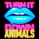 Turn It Down Animals (Kaskade's Paradiso Mash Up)专辑