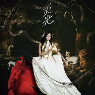 张韶涵「觅光」 2025巡回演唱会歌单精选