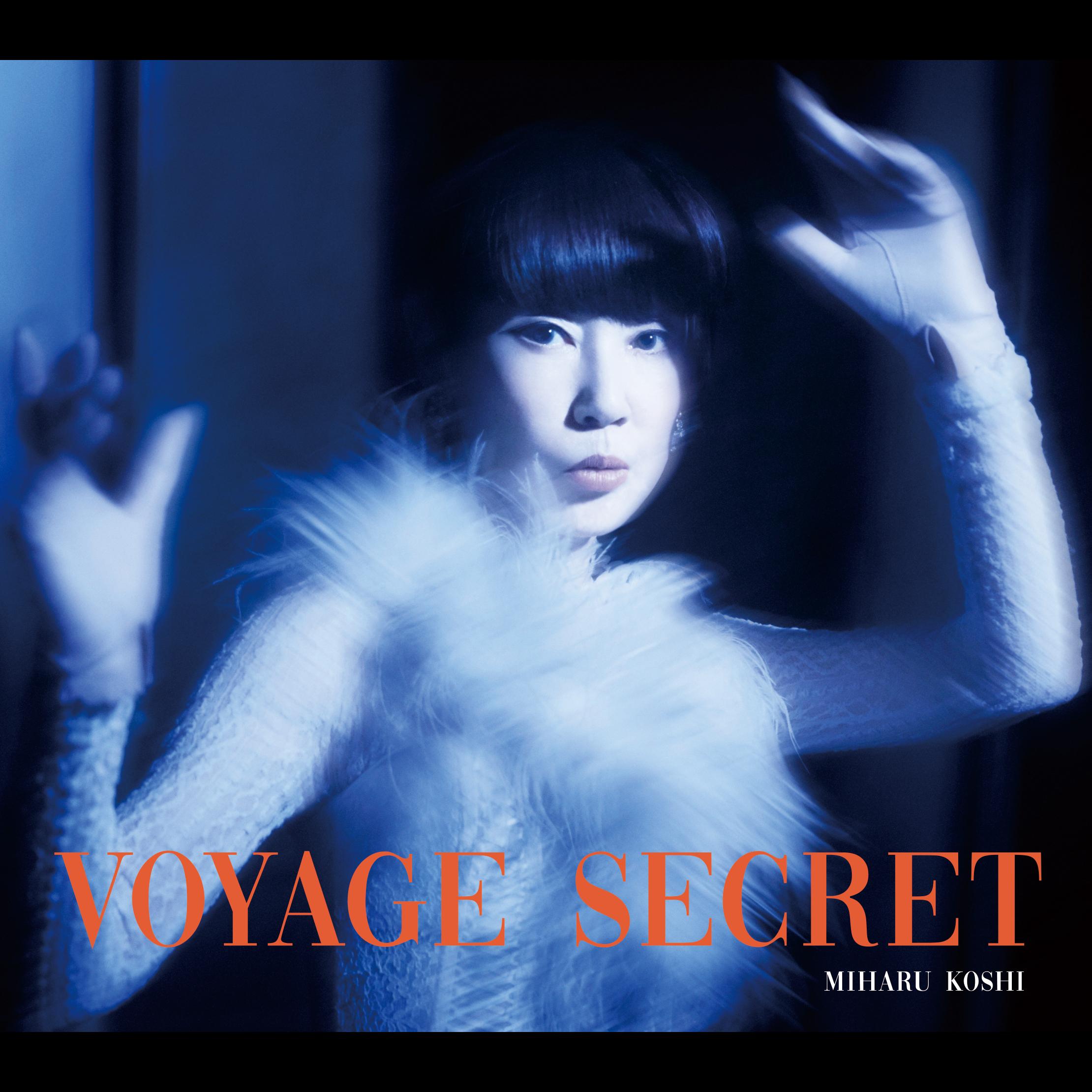 秘密の旅 ～Voyage secret～