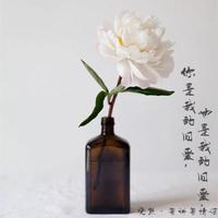 [DJ节目]DJ晓熊的DJ节目 第28期