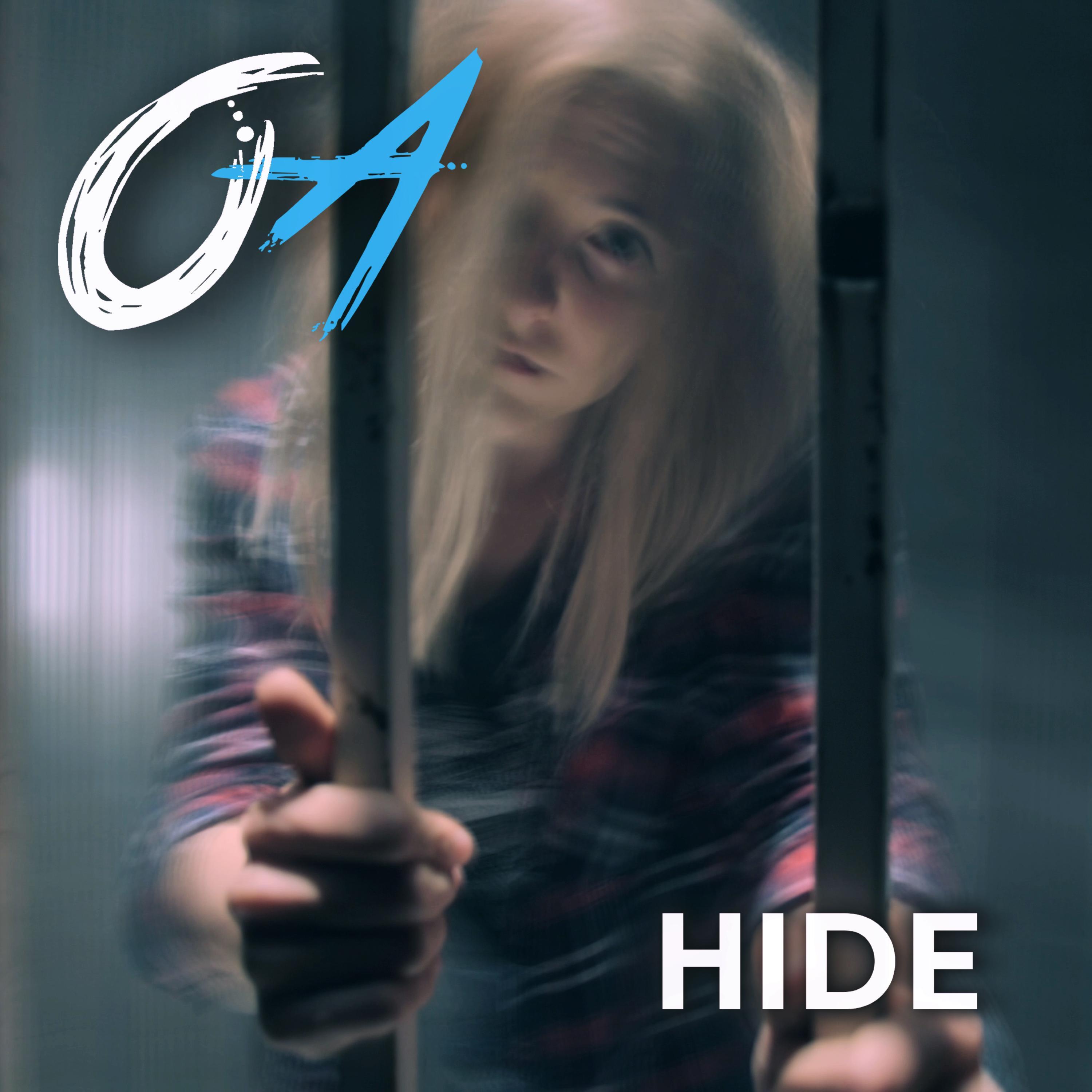 Hide
