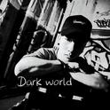 dark world专辑