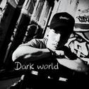 dark world专辑