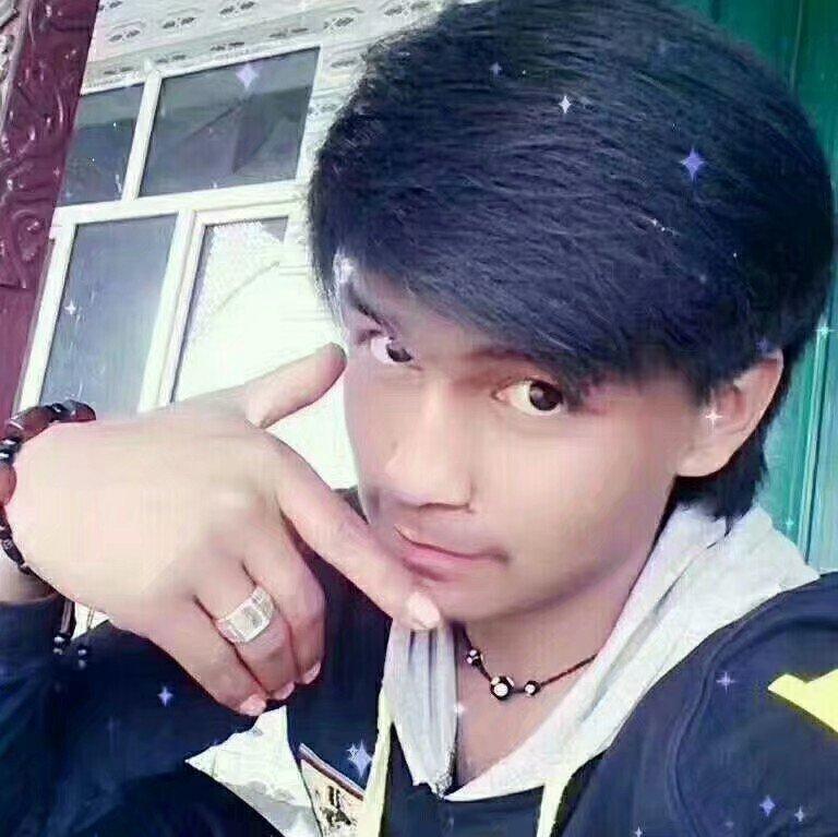 zulpekar520