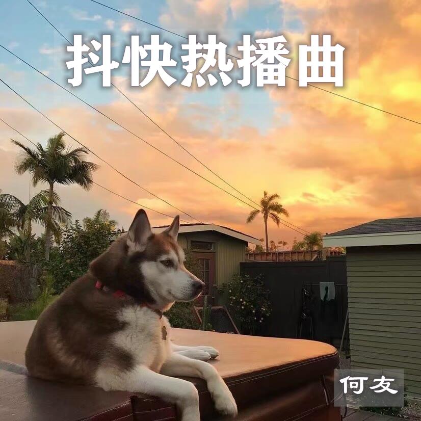 抖快热播曲