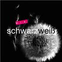 Schwarzweiss专辑