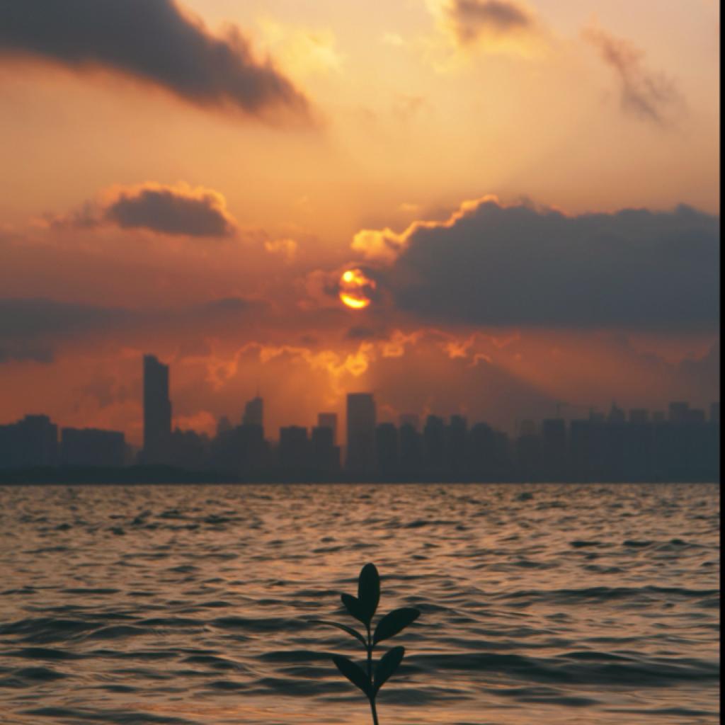 BGM背景音乐库「灵动系」