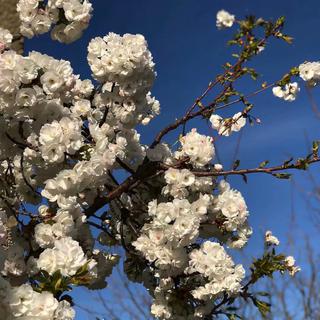 治愈！听歌是抚慰情绪最好的良药（纯音乐）