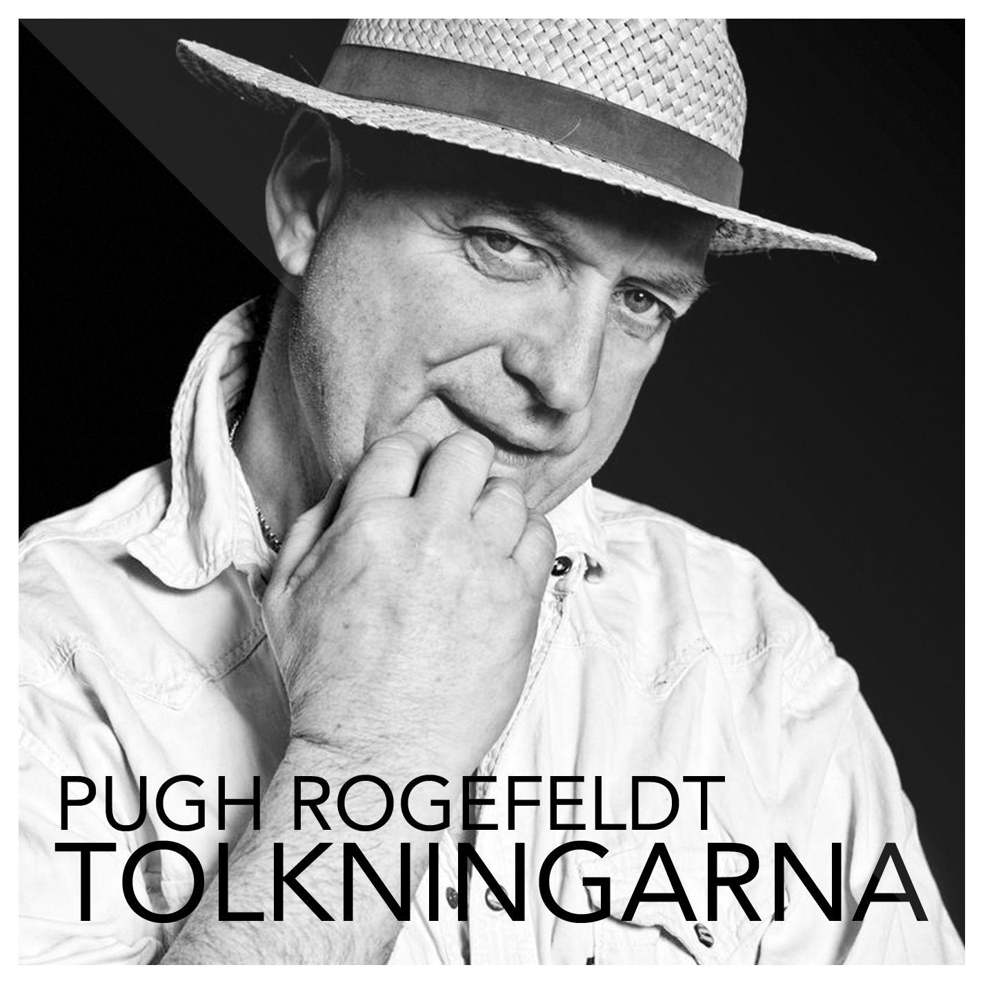 Så mycket bättre - Tolkningarna