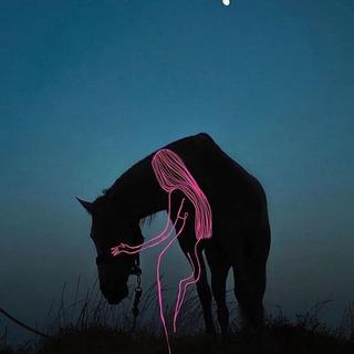 运动的时候我在听什么