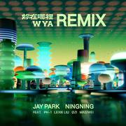 你在哪里 (WYA) Remix