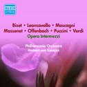 Opera Intermezzi - KODALY, Z. / MASCAGNI, P. / MASSENET, J. / MUSSORGSKY, M. / OFFENBACH, J. / PUCCI专辑