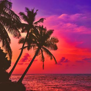 浪漫一夏 | 海边 自由 浪漫 夏夜时光