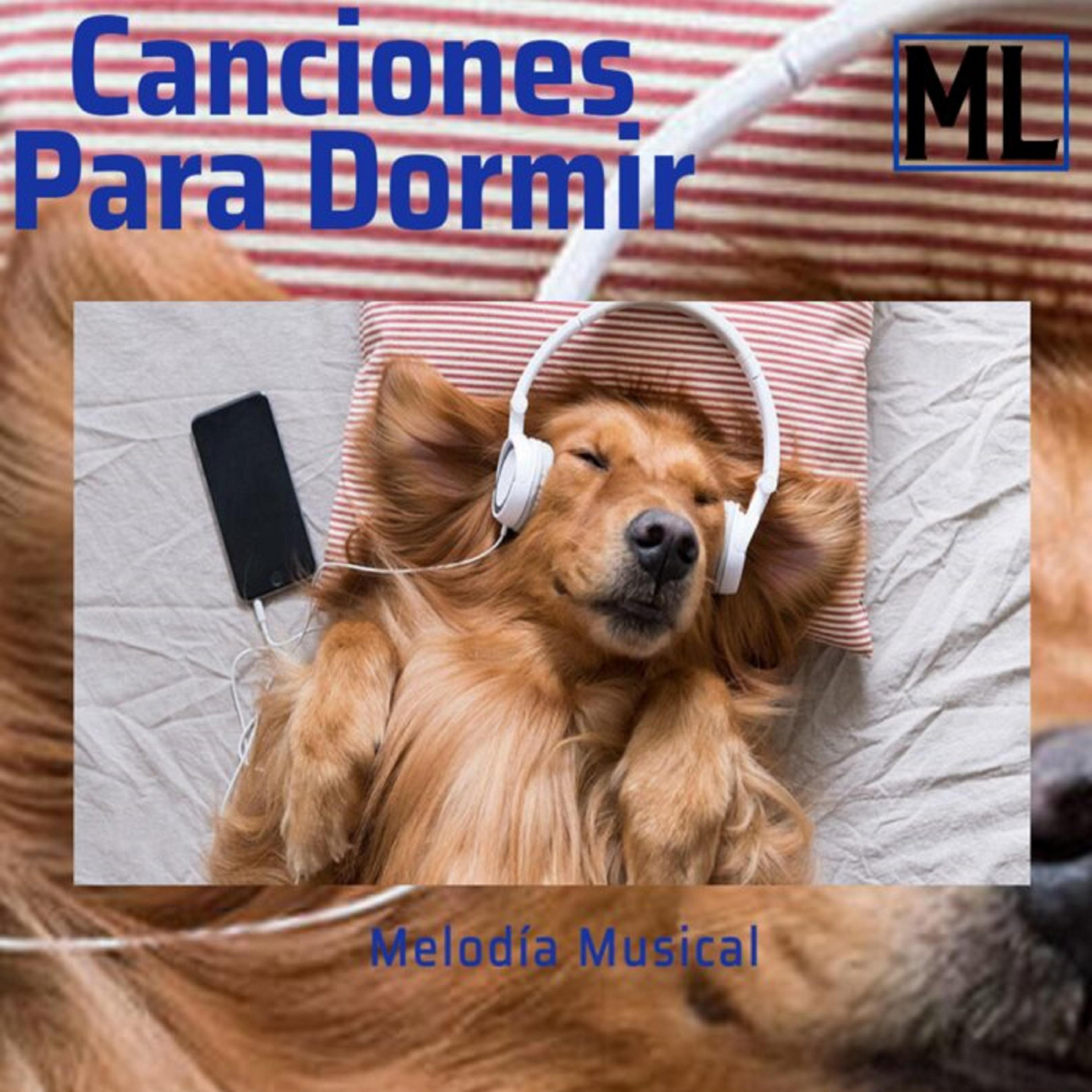 歌手:musica relajante 所属专辑:canciones para dormir 播放 收藏