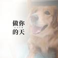 做你的天