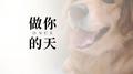 做你的天专辑