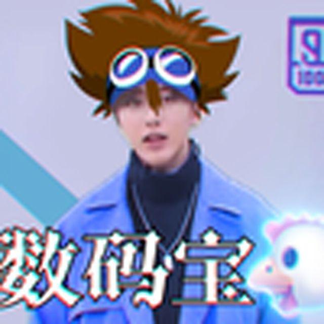 数码宝鸡（小黑子）