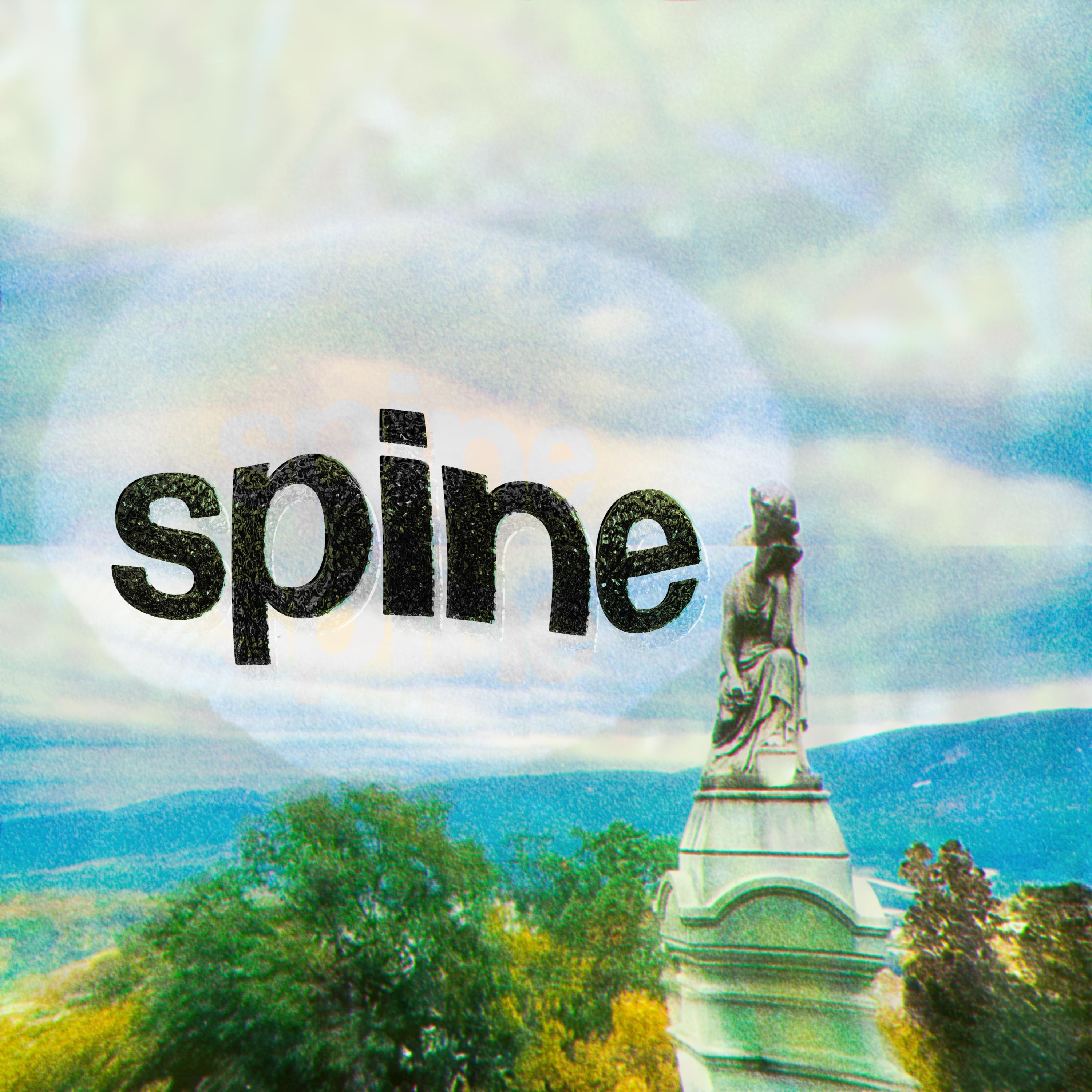 spine