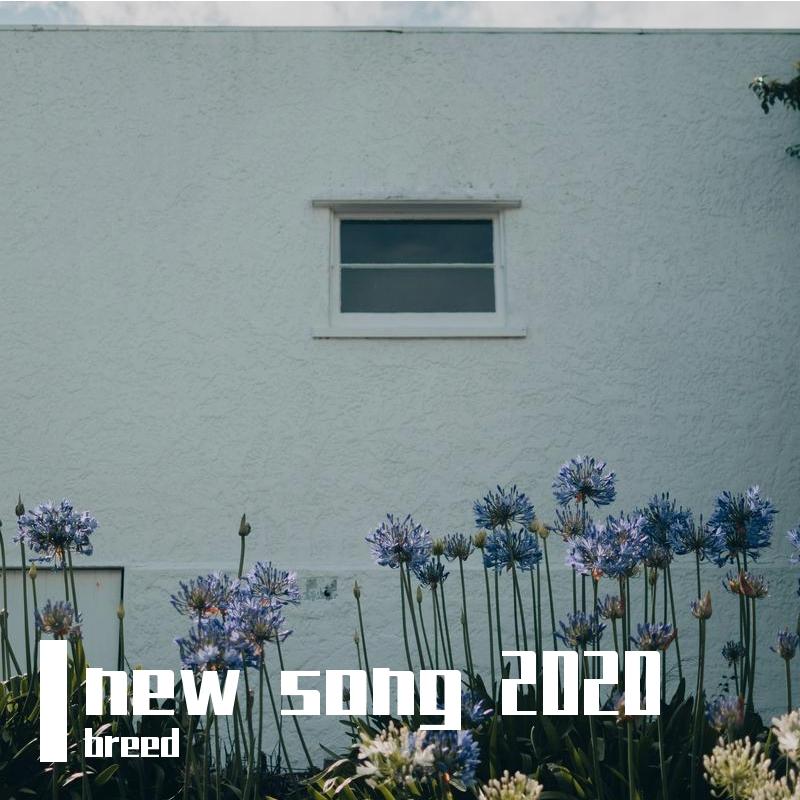new song 2020