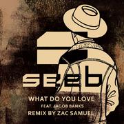 What Do You Love (Zac Samuel Remix)专辑