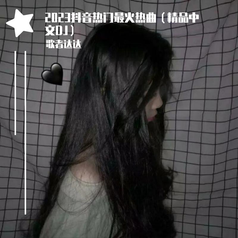 2023抖音热门最火热曲（精品中文DJ）专辑