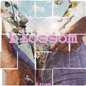Blossom专辑