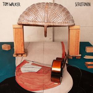 Tom Walker - Serotonin （降8半音）