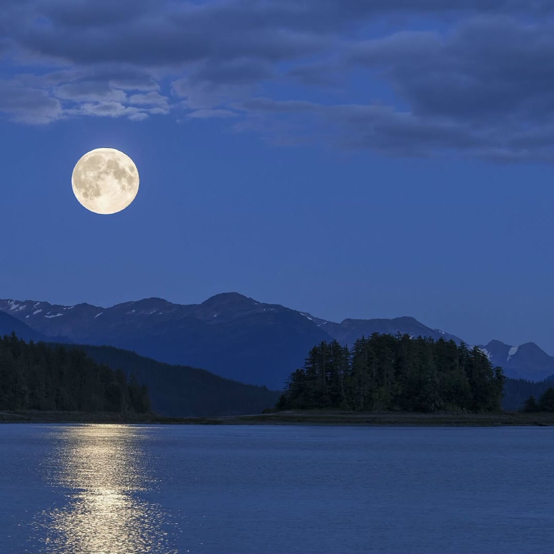 爱如潮水（DJ假如爱真的存在）