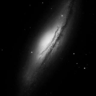 男嗓 欧美 | 单循环的撩耳荷尔蒙