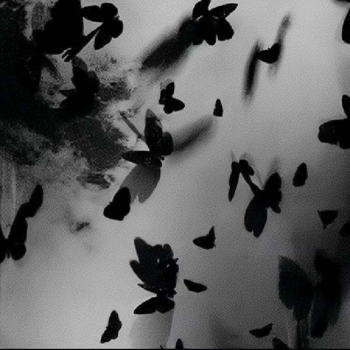 【Free】"Black Butterfly" Detroit Type Beat
